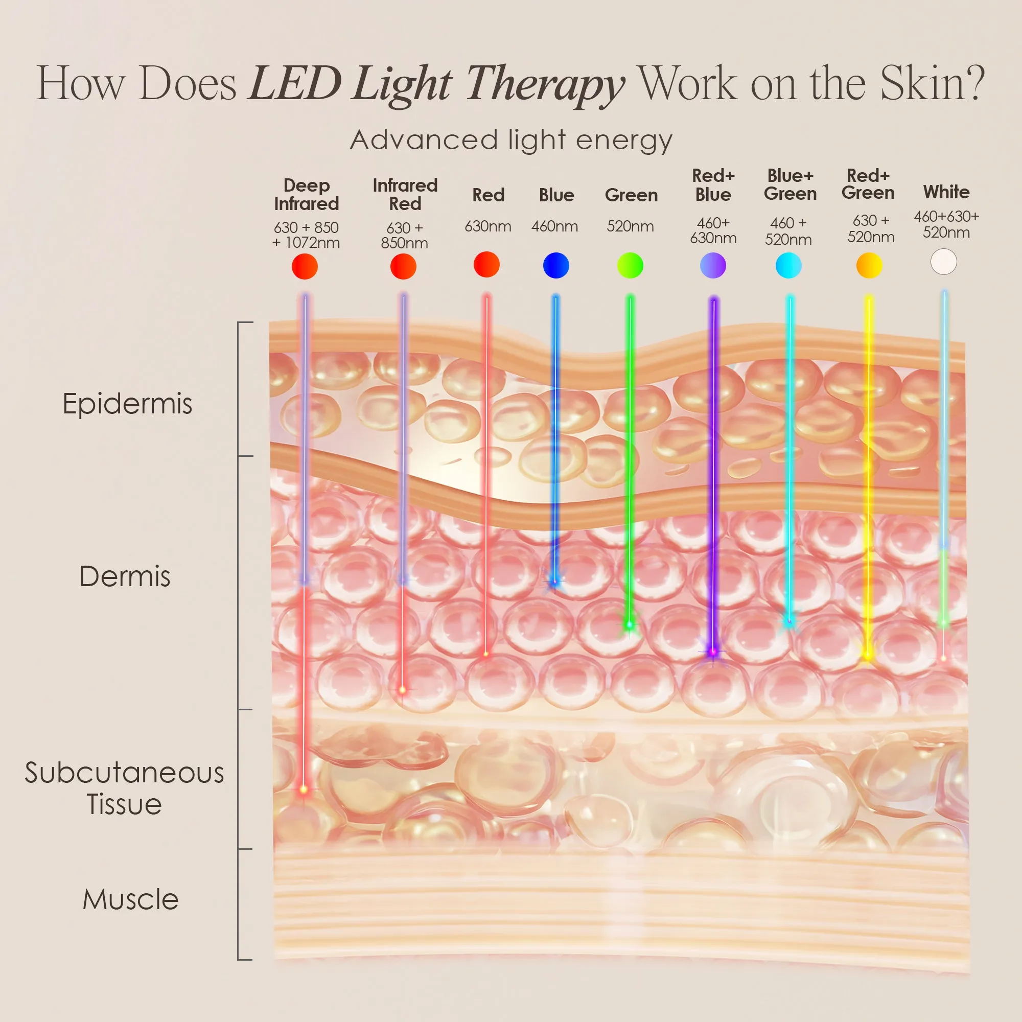 LumaLux Face  | Pro LED Light Therapy Face & Neck Mask