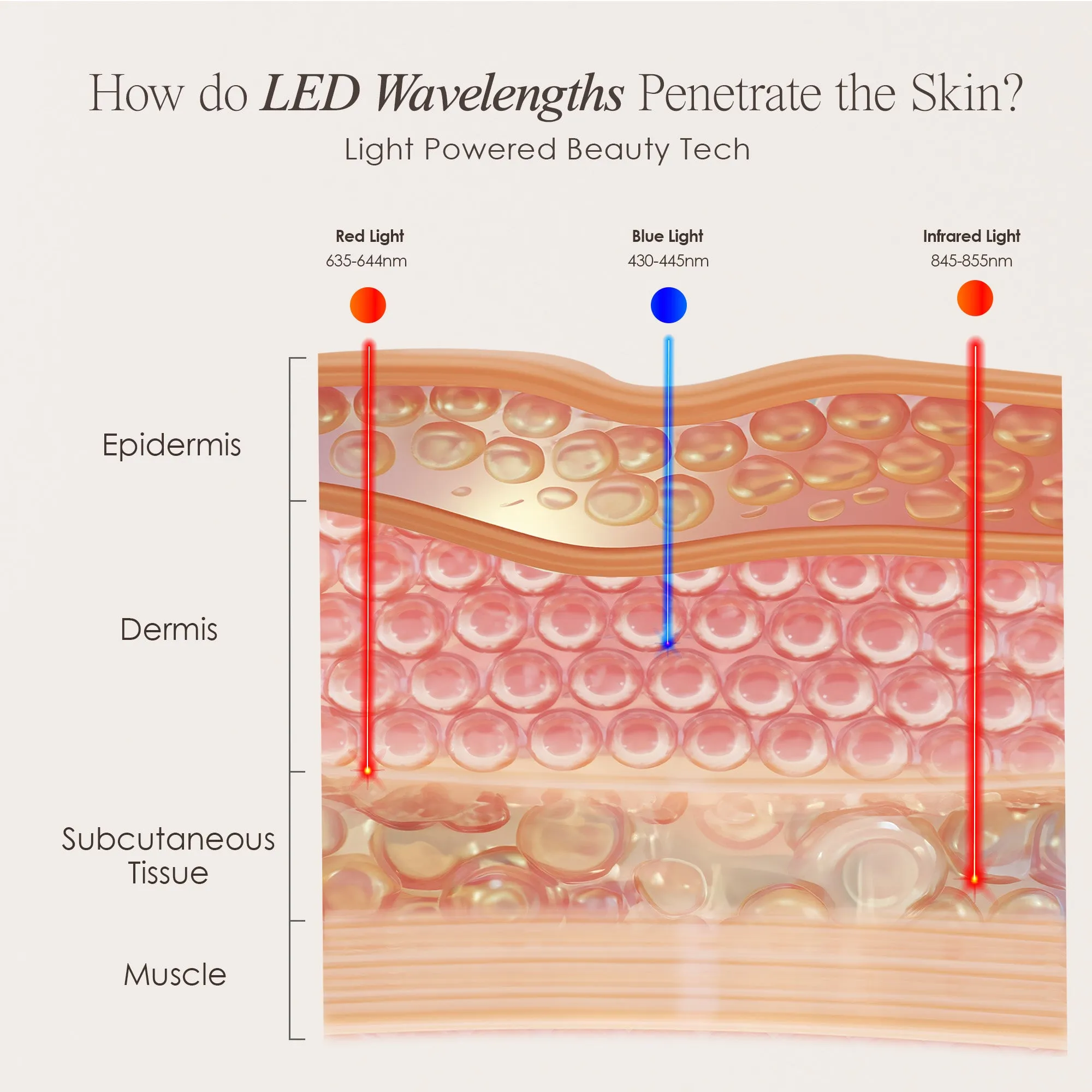 Lumamask Pro | LED Light Therapy Face Mask