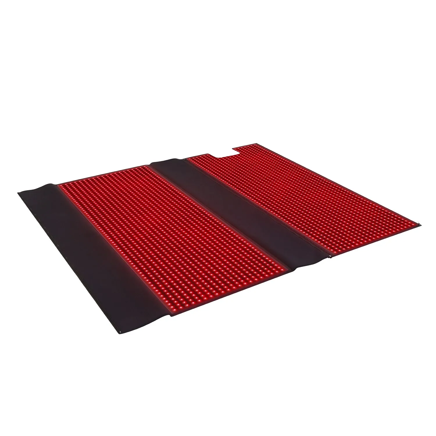 RED and Infrared Light Therapy Bag