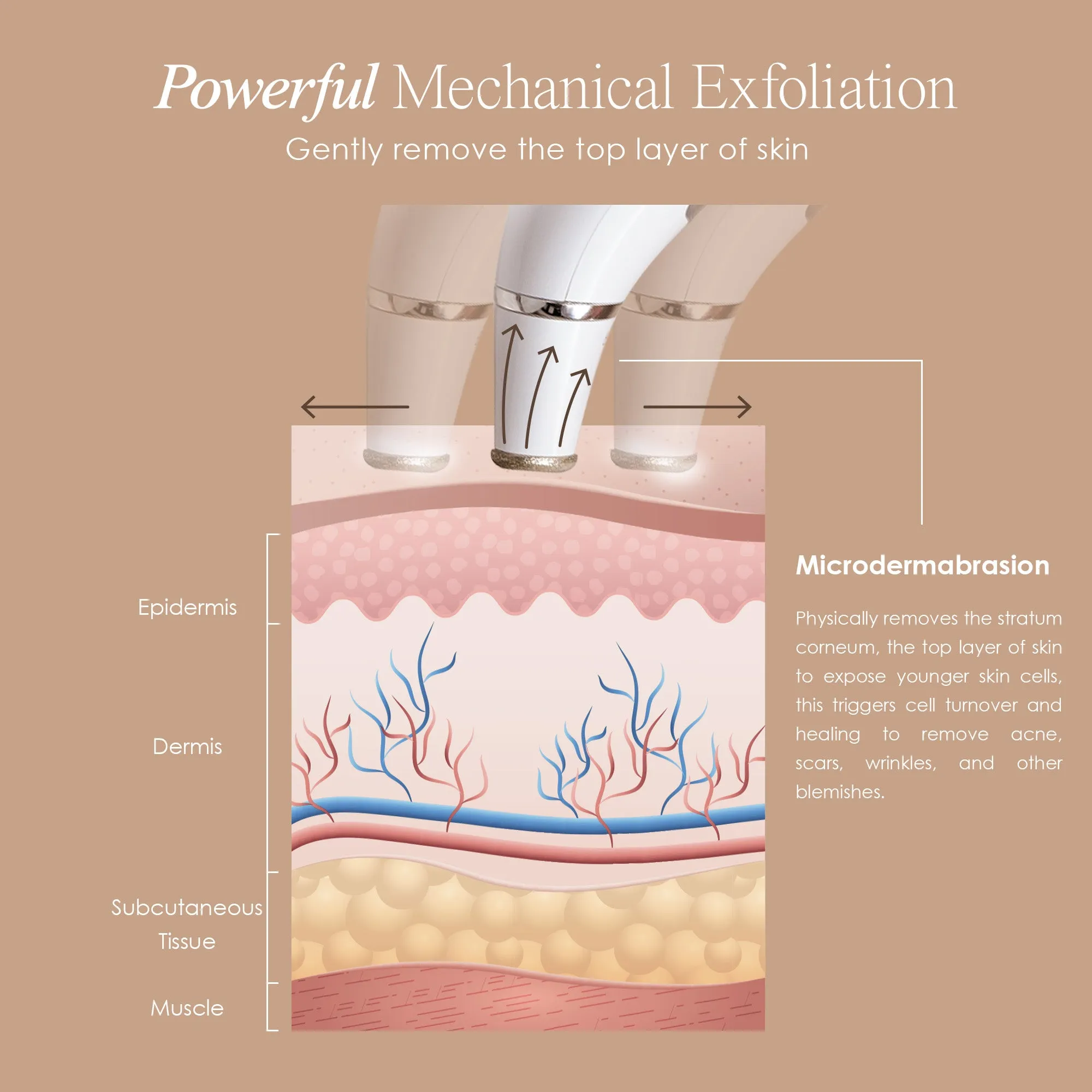 Reinvo | Facial Microdermabrasion Wand